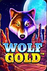 Wolf Gold spela nu